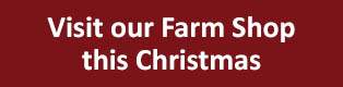 Visit our Farm Shop this Christmas