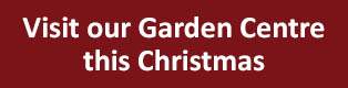 Visit our Garden Centre this Christmas