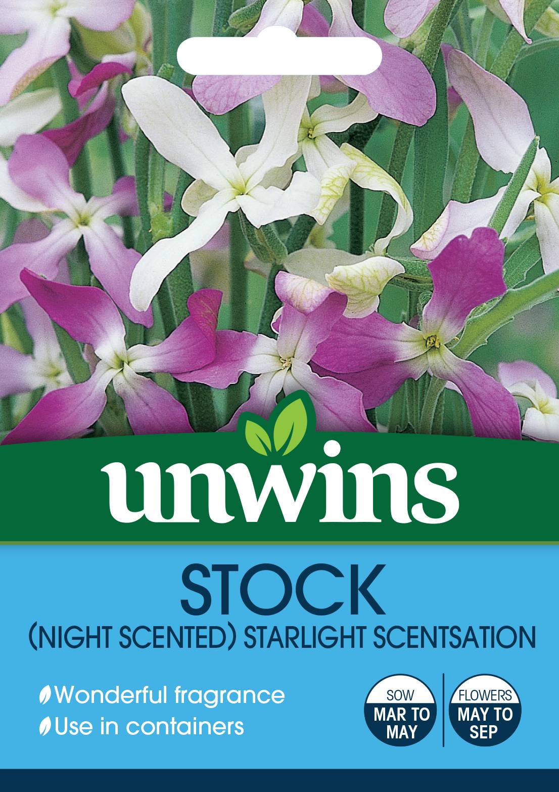 Johnsons Seeds Stock Night Scented Starlight Scentsation Seed Fragrant! 