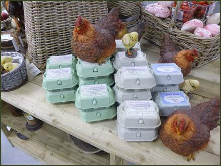 Farm Shop Eggs