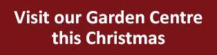 Visit our Garden Centre this Christmas Visit our Garden Centre this Christmas