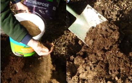 2 Mixing dug soil with compost