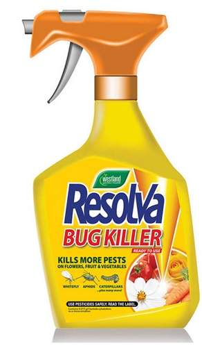 Bug killer spray for aphids