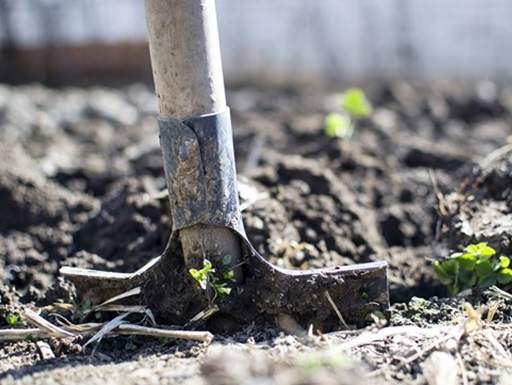 Cultivate your soil