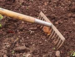 How to prepare your soil