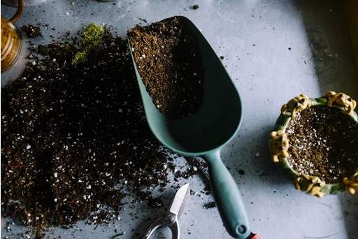 Potting soil in scoop on table