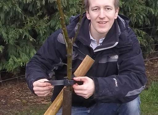 Securing tree ties