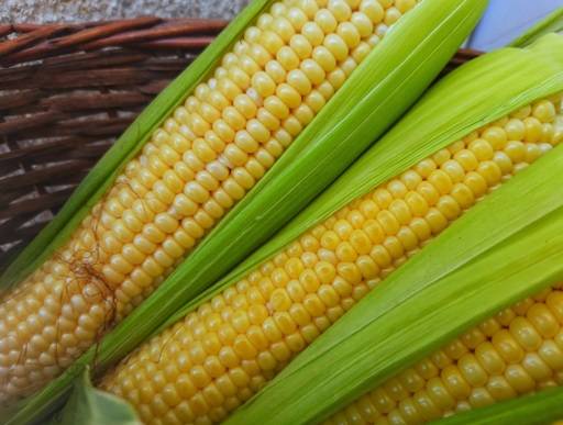 Sweetcorn