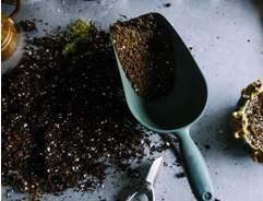 Understanding your soil