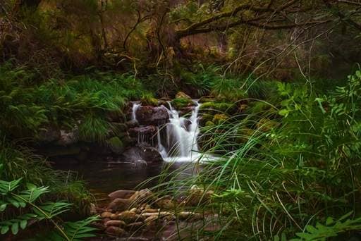 Waterfall in woodland
