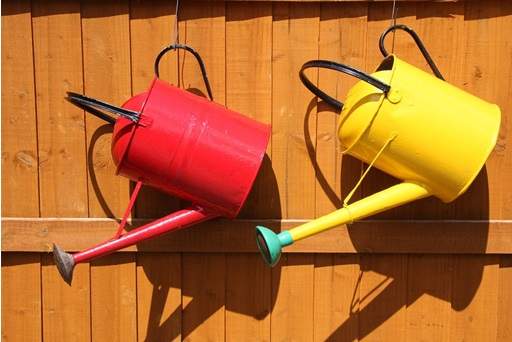 Watering cans hung on fence
