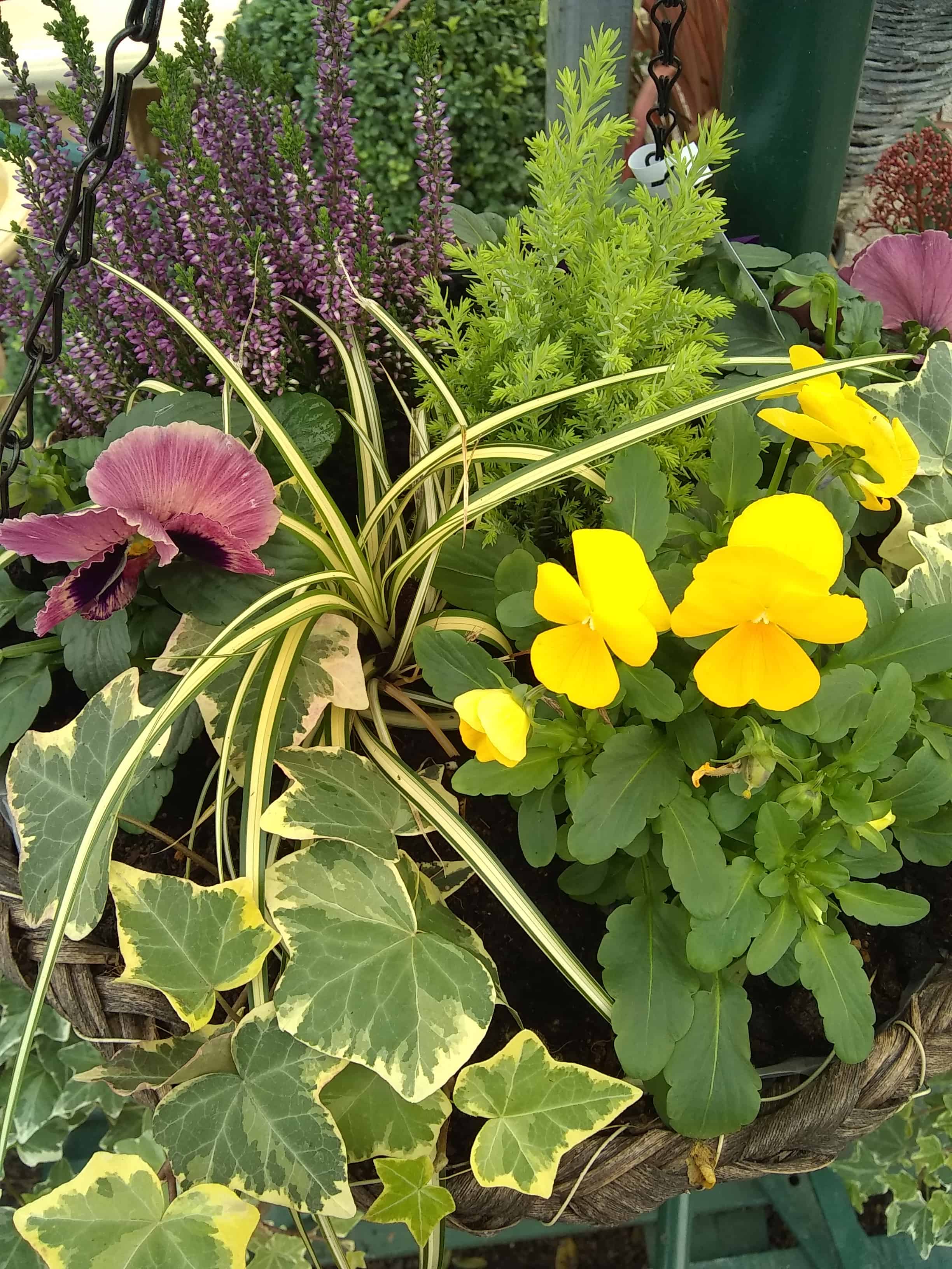 oct-basket1