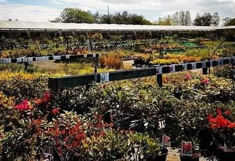 oct-containnursery