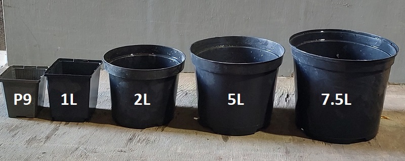 A Handy Guide to Our Plant Pot Sizes