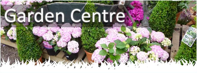 Our garden centre is based in staffordshire