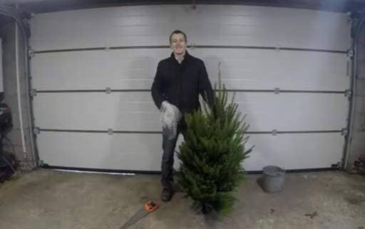 Christmas tree in garage