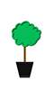 Buy Quarter Standard Trees at Jacksons Nurseries