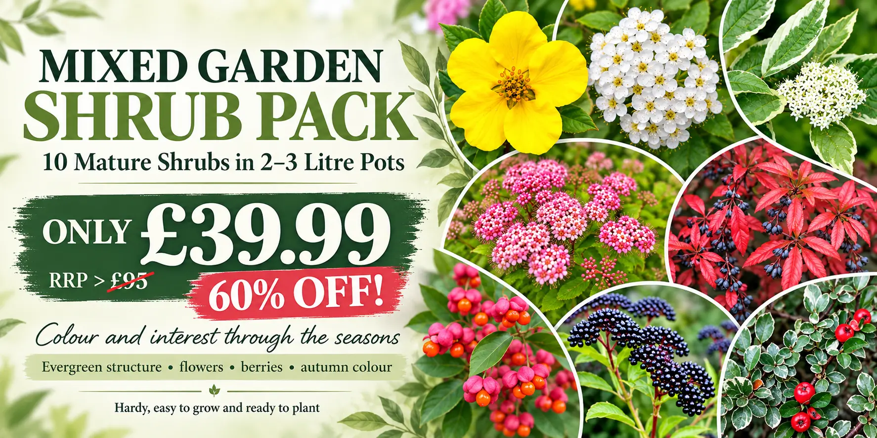 Mixed Shrub Pack Homepage Banner