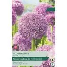 Allium Globemaster Taylors Bulbs Packet