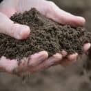 Top Soil 3