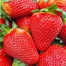 Strawberry Albion 1