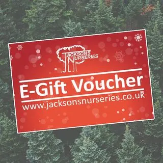 Buy Jacksons Nurseries Gift Voucher online from Jacksons Nurseries.