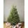 Slim Nordmann Fir 3-Nov-25