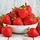 Strawberry Cambridge Favourite 1
