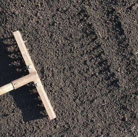 Top Soil 2