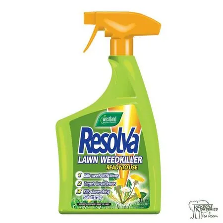Buy Westland Resolva Lawn Weedkiller Extra online from Jackson's Nurseries.