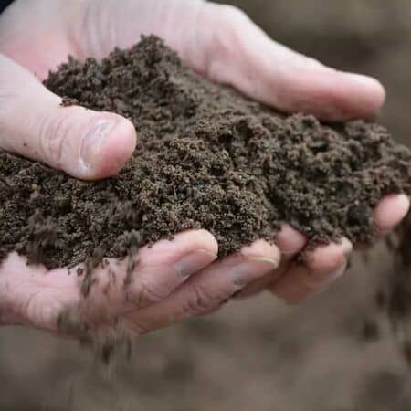 Top Soil 3
