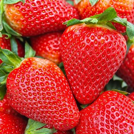 Strawberry Albion 1