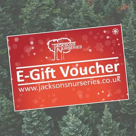 Buy Jacksons Nurseries Gift Voucher online from Jacksons Nurseries.