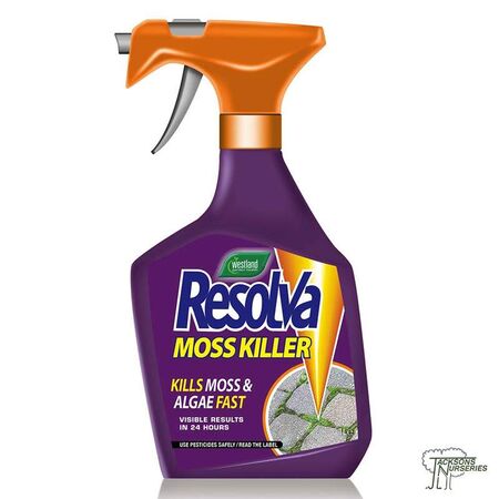 Buy Westland Resolva Moss Killer online from Jackson's Nurseries.