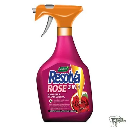 Buy Westland Resolva Rose 3 in 1 Online at Jackson's Nurseries.