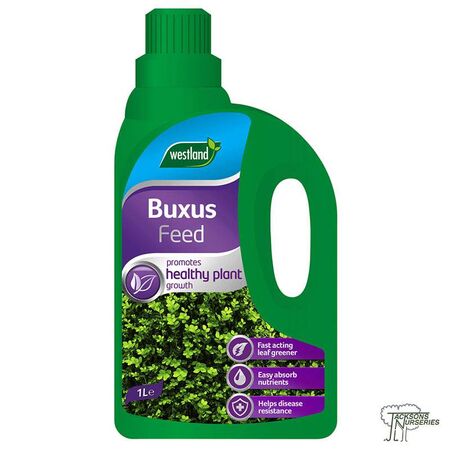 Buy Westland Buxus Feed online from Jacksons Nurseries.